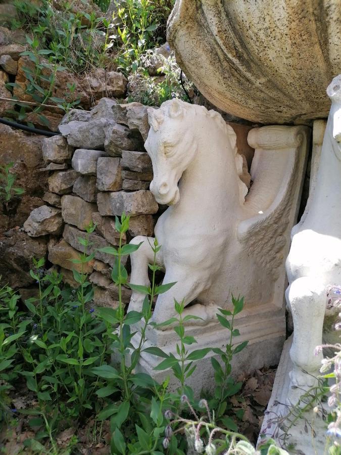 Entre Ciel Et Terre Βίλα Besse-sur-Issole Εξωτερικό φωτογραφία